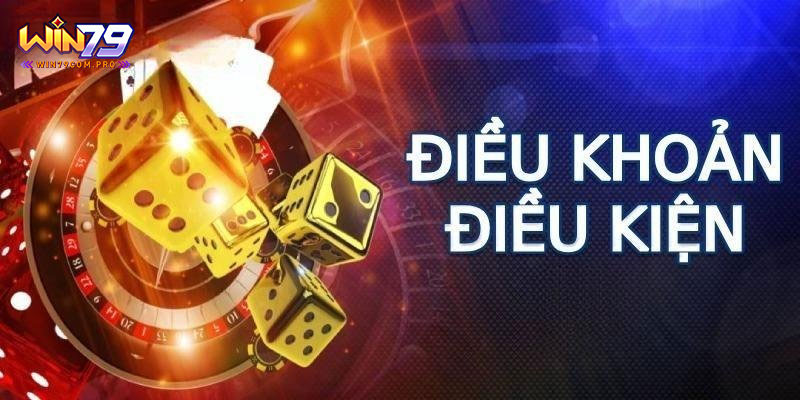 Điều Khoản Và Điều Kiện - Thông Tin Hữu Ích Cho Thành Viên 3 Điều khoản và điều kiện khi khuyến mãi
