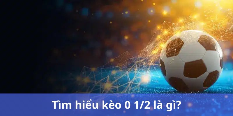 Tỷ Lệ Kèo 0 1/2 Là Gì Và Bí Quyết Chơi Luôn Thắng 1 Tỷ Lệ Kèo 0 1/2
