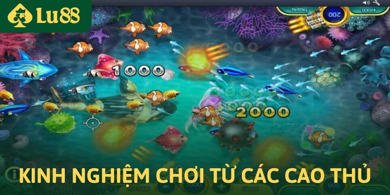 Bắn cá One Shot – Trải nghiệm bắn cá đổi thưởng đỉnh cao 4 Kinh nghiệm chơi game bắn cá Oneshot đến từ cao thủ
